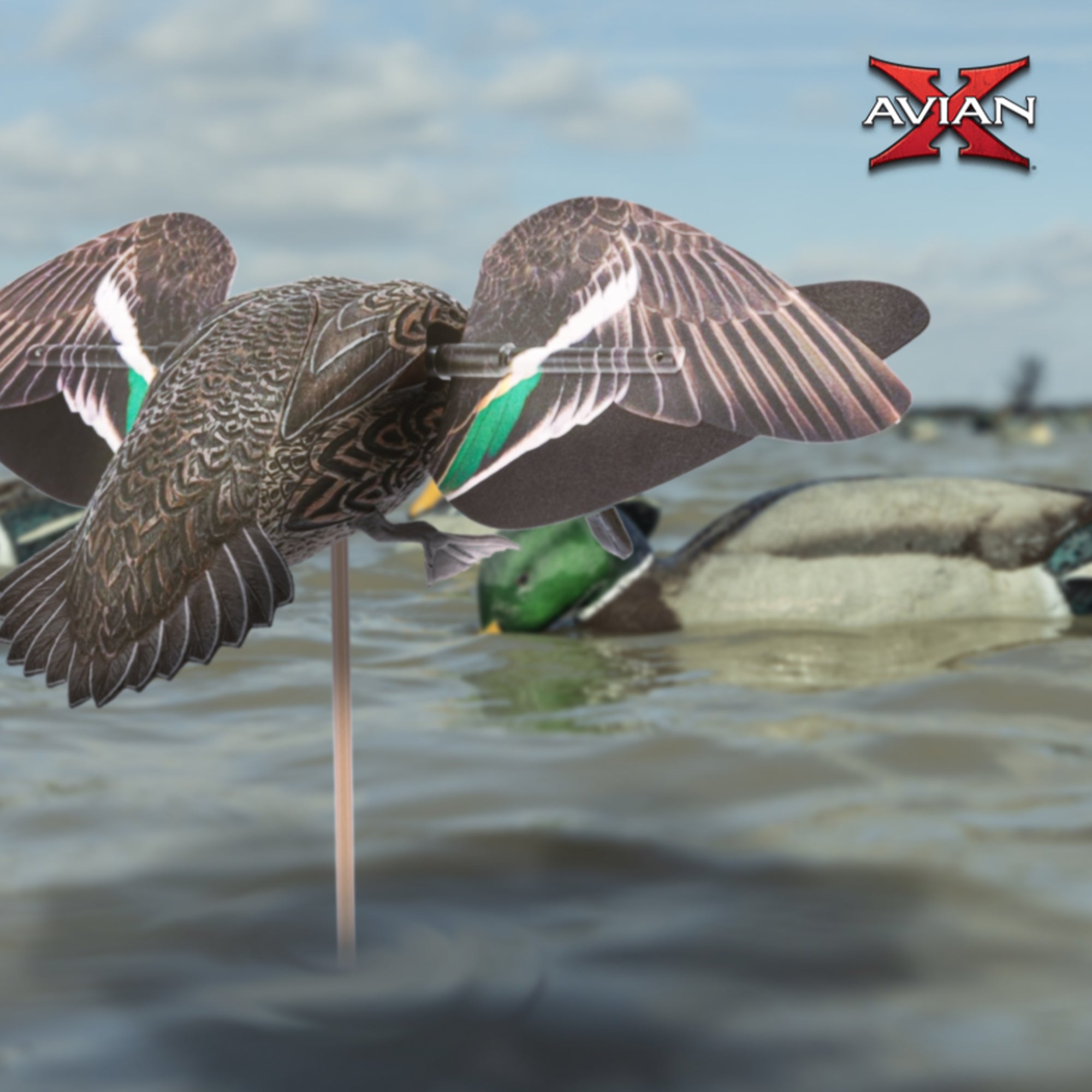 Avian X Powerflight Hen Teal Green Wing Duck Decoy with Wings, Stake & Carry Bag - VMInnovations
