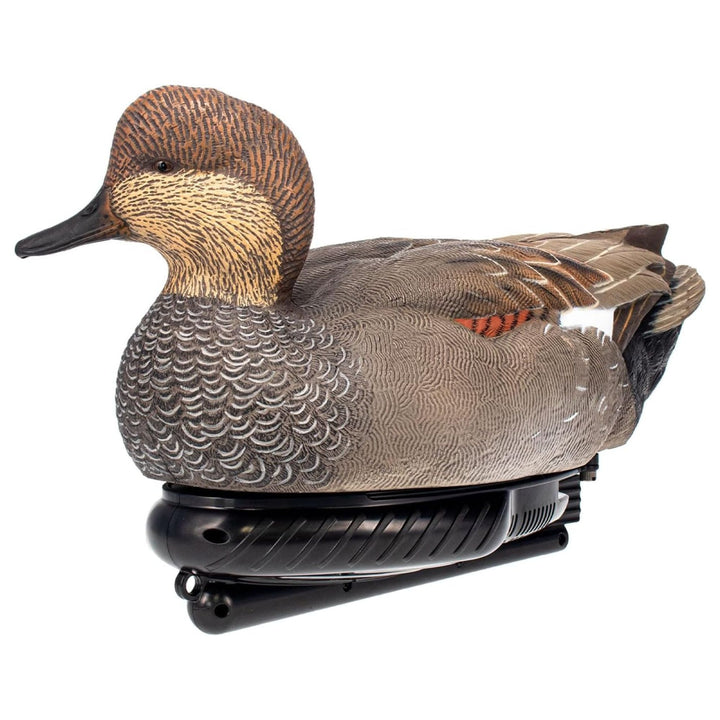 Avian X Power Swimmer Gadwall Drake Motion Duck Decoy with 10+ Hour Battery - VMInnovations