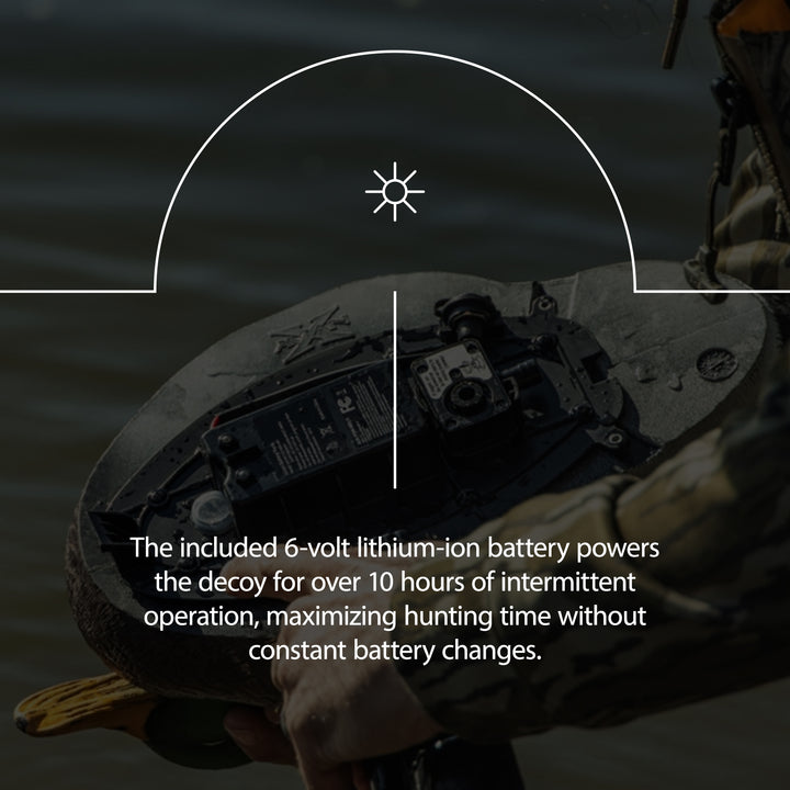 Avian X Power Swimmer Mallard Drake Motion Duck Decoy with 10+ Hour Battery - VMInnovations