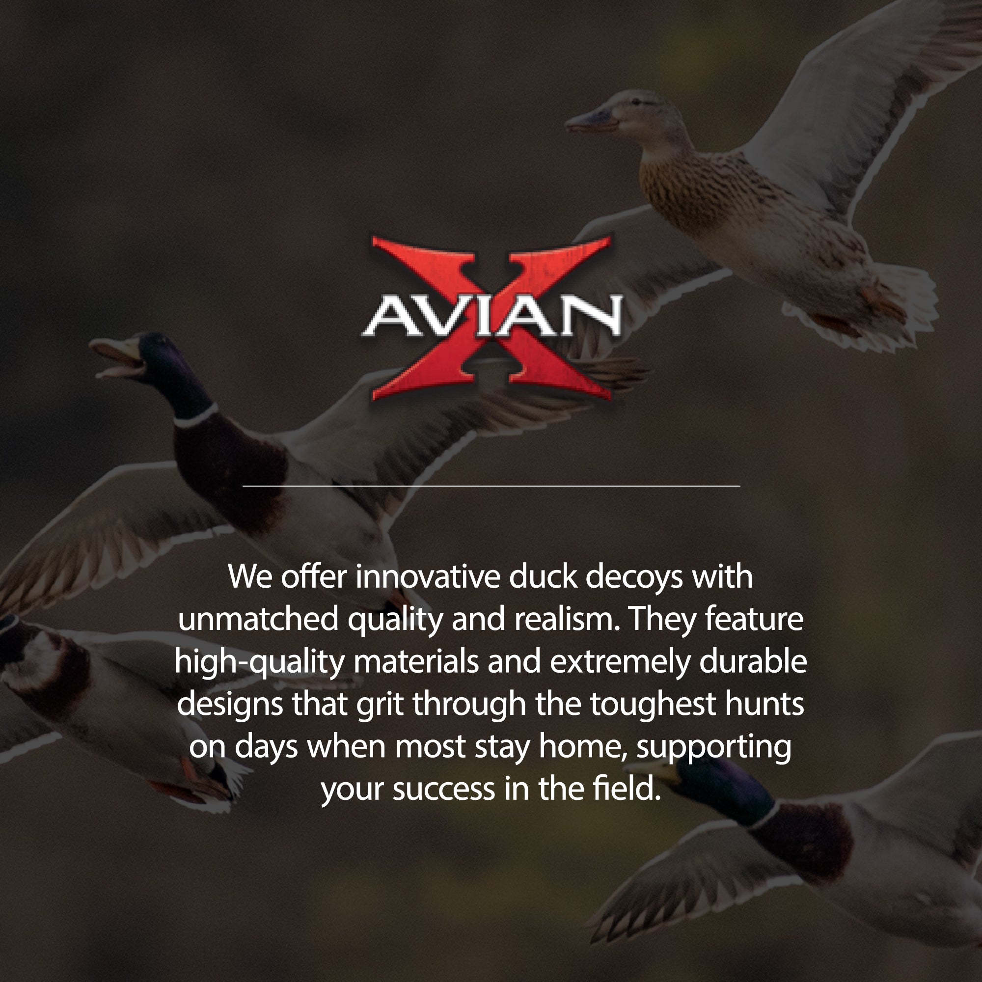 Avian X Power Swimmer Mallard Drake Motion Duck Decoy w/ 10+ Hour Battery (Used)