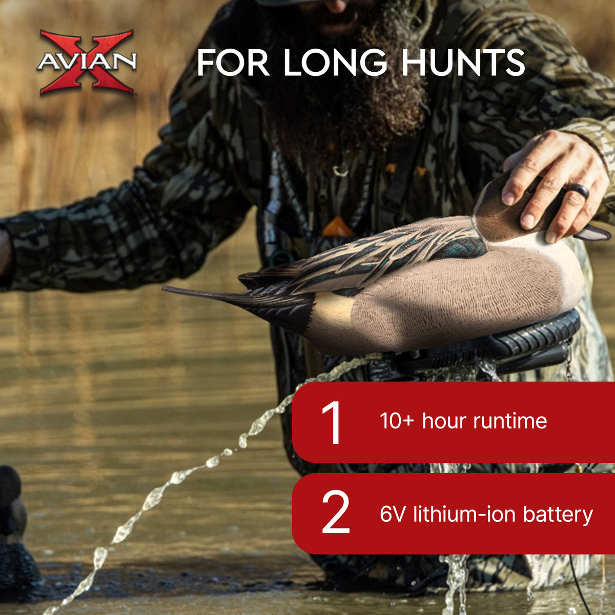 Avian X Power Swimmer Pintail Drake Motion Duck Decoy with 10+ Hour Battery - VMInnovations