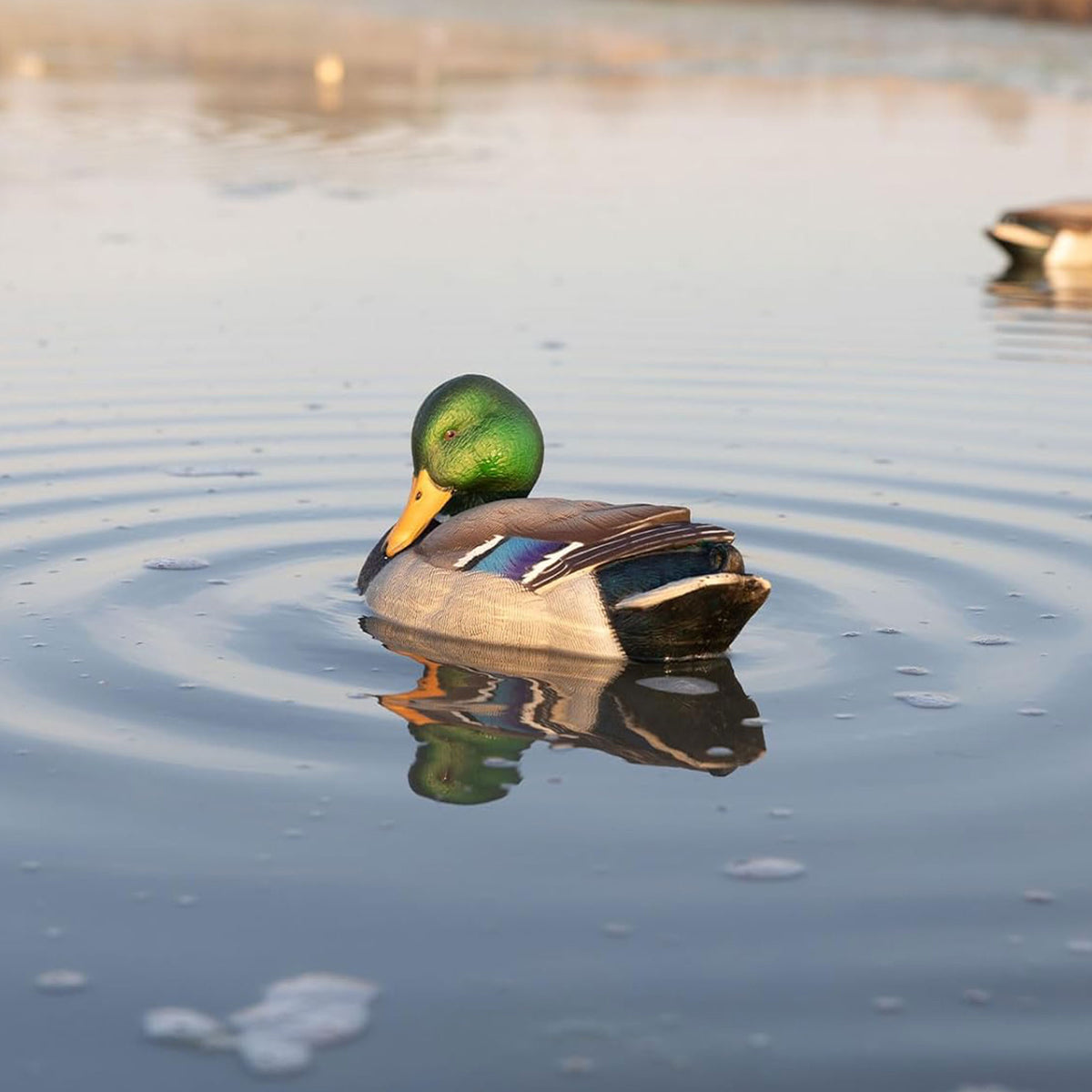 Avian-X Power Shaker Mallard Drake Motion Duck Decoy Floating Surface Preener - VMInnovations