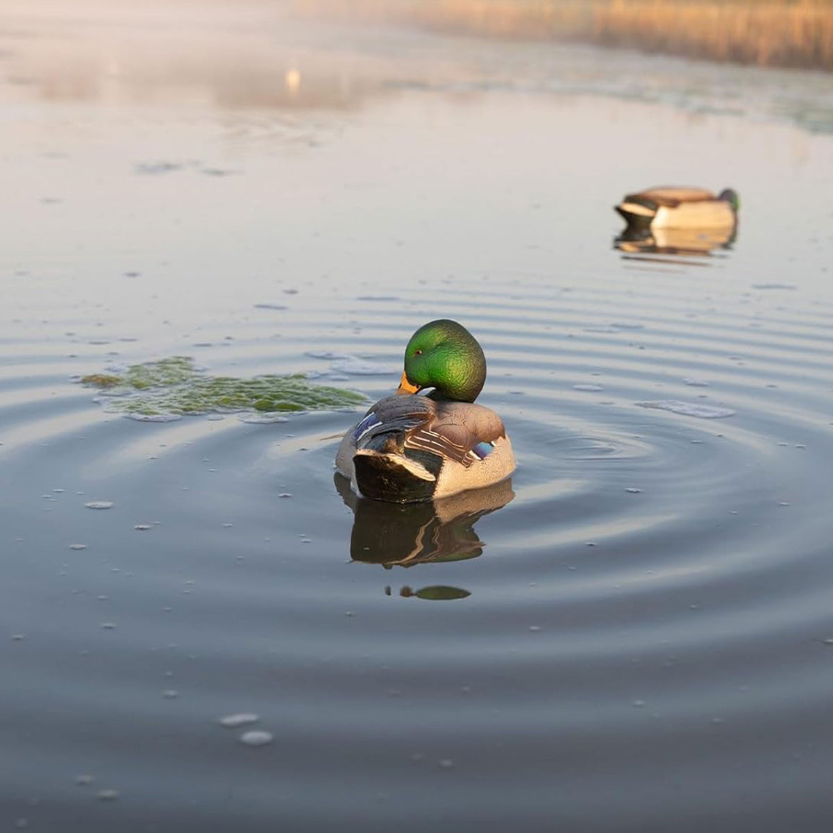 Avian-X Power Shaker Mallard Drake Motion Duck Decoy Floating Surface Preener - VMInnovations