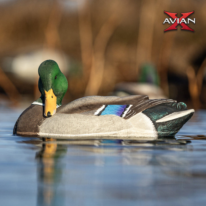 Avian-X Power Shaker Mallard Drake Motion Duck Decoy Floating Surface Preener - VMInnovations