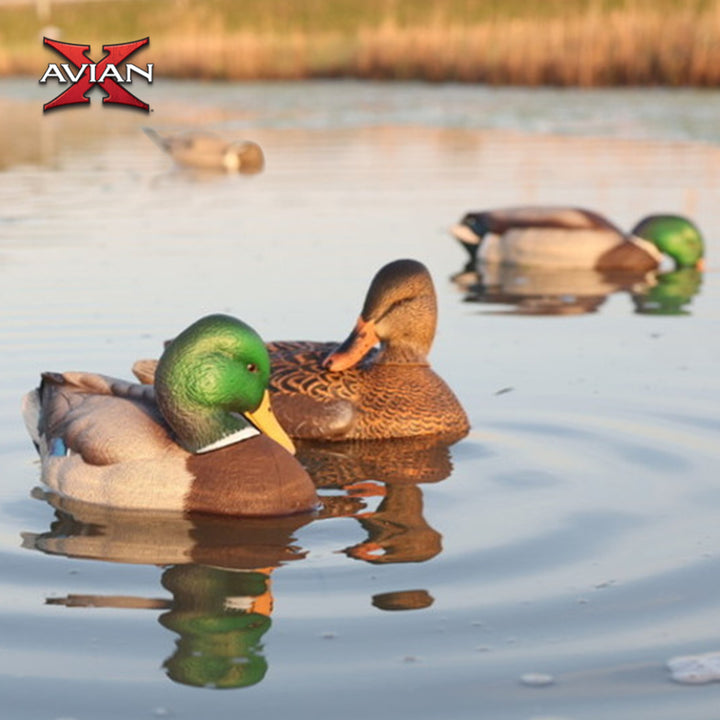 Avian-X Power Shaker Mallard Drake Motion Duck Decoy Floating Surface Preener - VMInnovations
