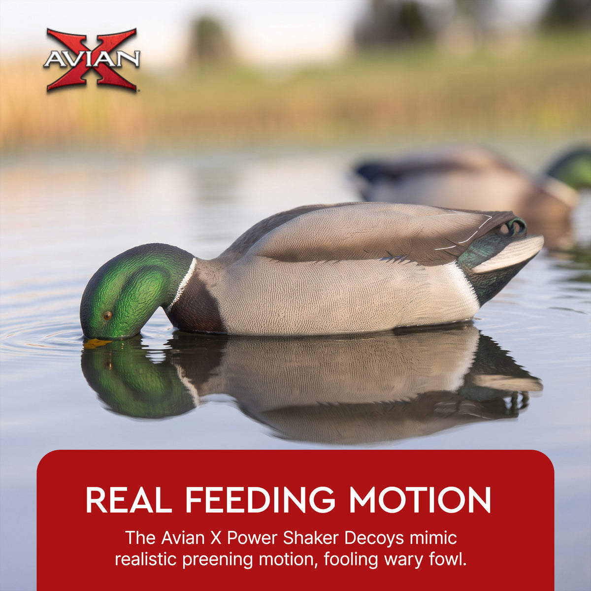 Avian-X Power Shaker Mallard Drake Motion Duck Decoy Floating Surface Feeder
