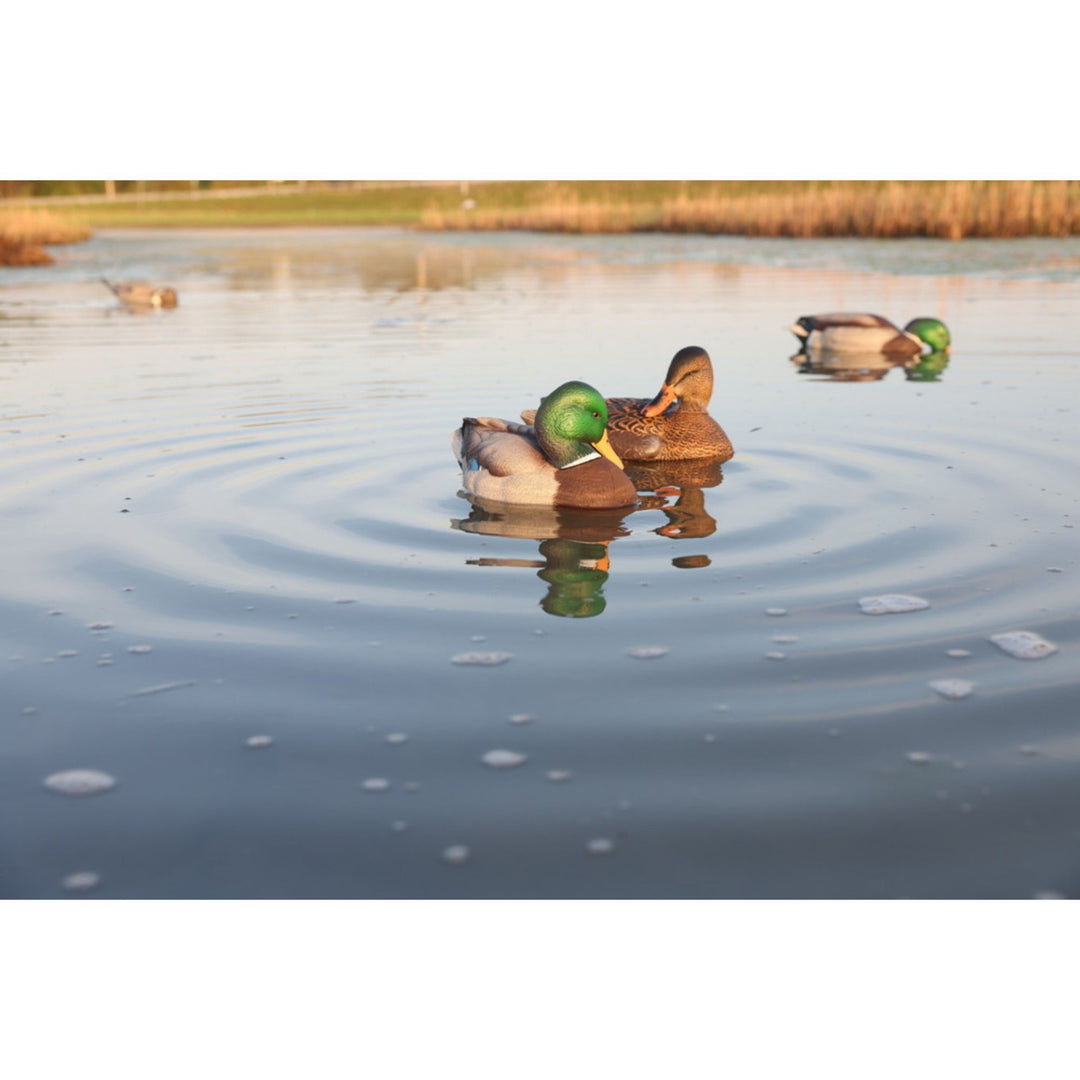 Avian-X Power Shaker Mallard Drake Motion Duck Decoy Floating Surface Feeder - VMInnovations