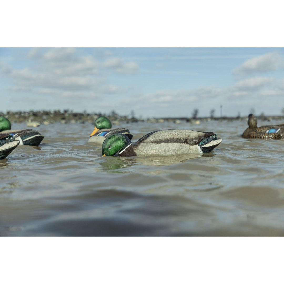 Avian-X Power Shaker Mallard Drake Motion Duck Decoy Floating Surface Feeder - VMInnovations