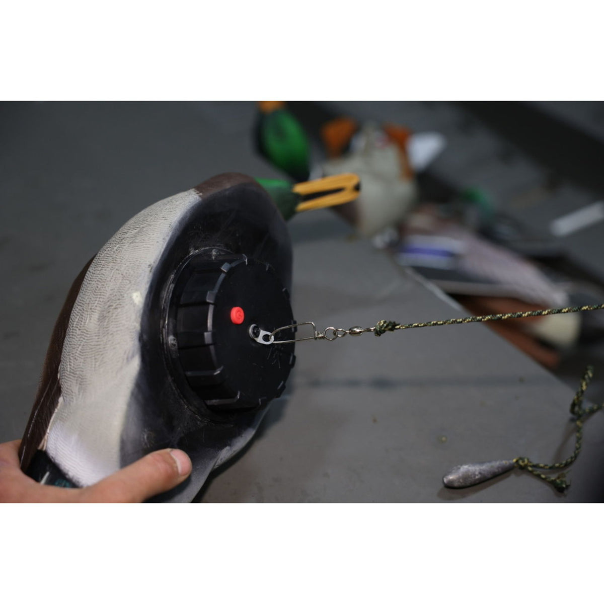 Avian-X Power Shaker Mallard Drake Motion Duck Decoy Floating Surface Feeder