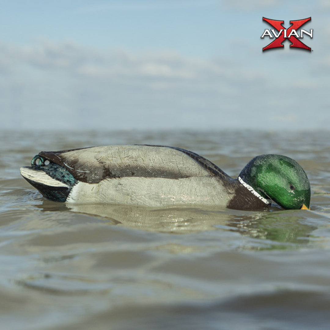 Avian-X Power Shaker Mallard Drake Motion Duck Decoy Floating Surface Feeder - VMInnovations