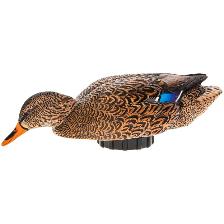 Avian-X Power Shaker Mallard Hen Motion Duck Decoy Floating Surface Feeder - VMInnovations
