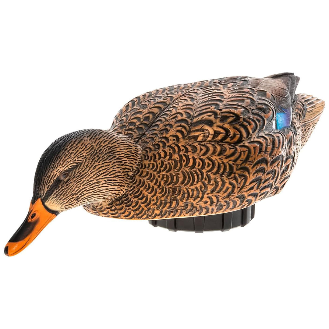 Avian-X Power Shaker Mallard Hen Motion Duck Decoy Floating Surface Feeder - VMInnovations
