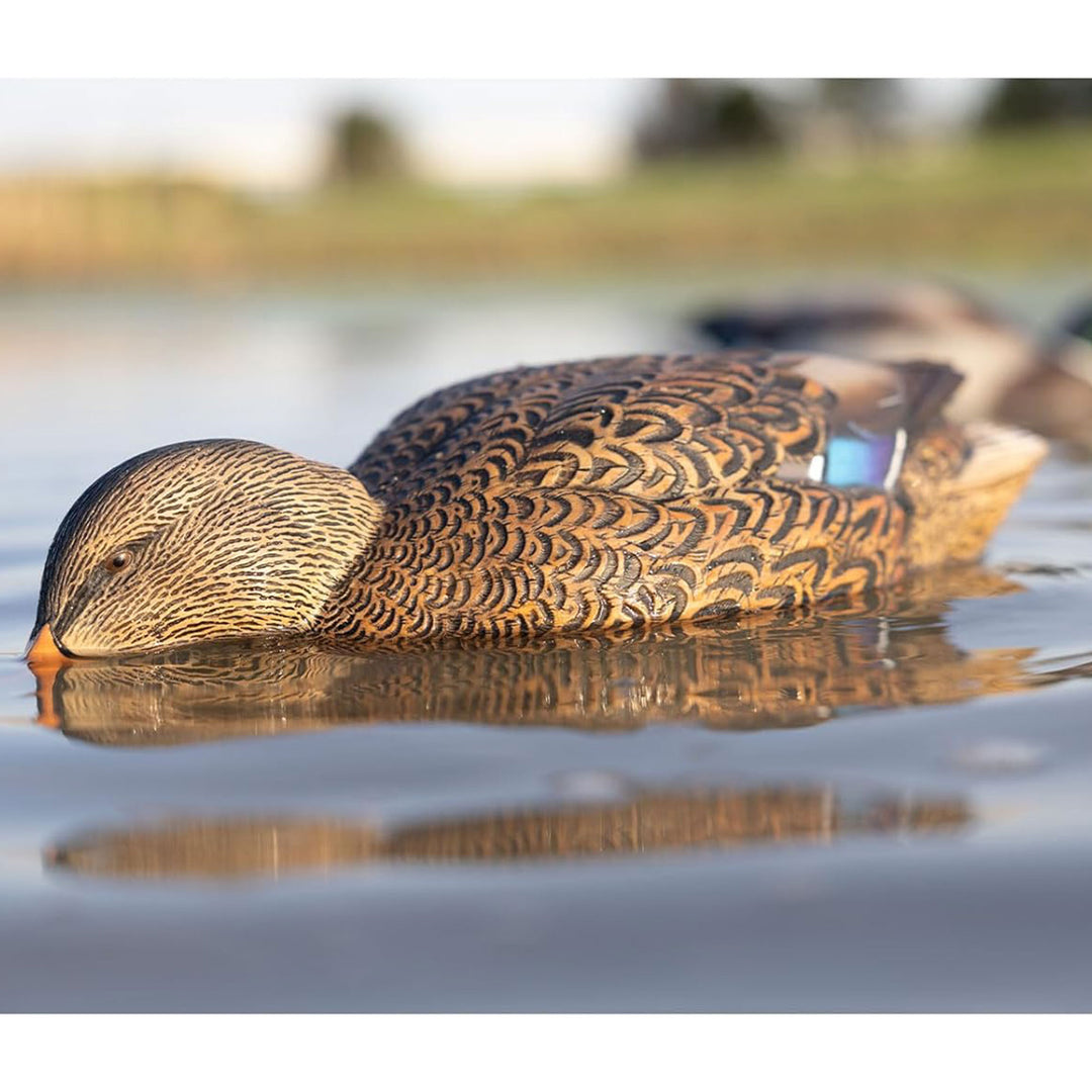 Avian-X Power Shaker Mallard Hen Motion Duck Decoy Floating Surface Feeder - VMInnovations