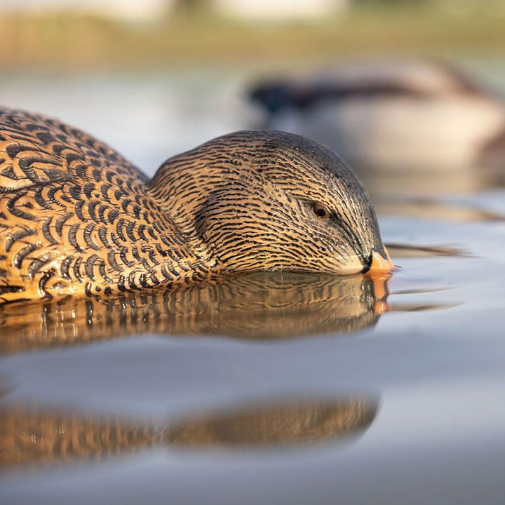 Avian-X Power Shaker Mallard Hen Motion Duck Decoy Floating Surface Feeder - VMInnovations