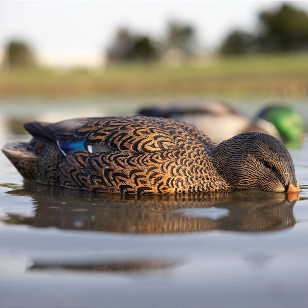 Avian-X Power Shaker Mallard Hen Motion Duck Decoy Floating Surface Feeder - VMInnovations