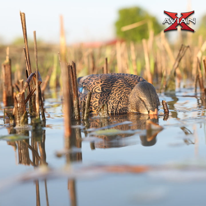 Avian-X Power Shaker Mallard Hen Motion Duck Decoy Floating Surface Feeder - VMInnovations