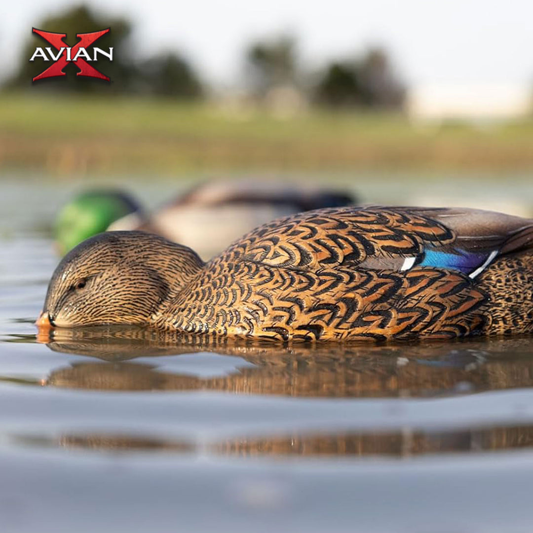 Avian-X Power Shaker Mallard Hen Motion Duck Decoy Floating Surface Feeder - VMInnovations