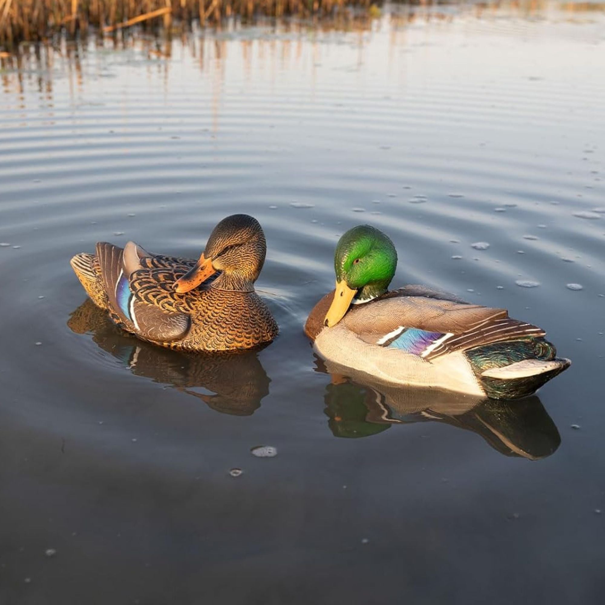 Avian X Power Shaker Motion Mallard Hen Decoy, Realistic Motion (Open Box)