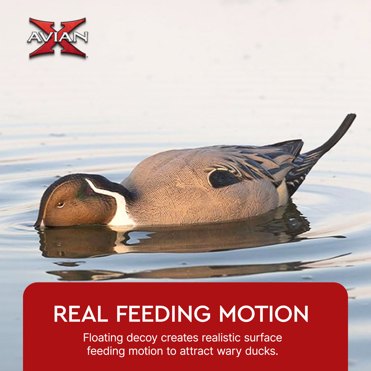 Avian-X Power Shaker Pintail Motion Duck Decoy Floating Surface Feeder, Brown