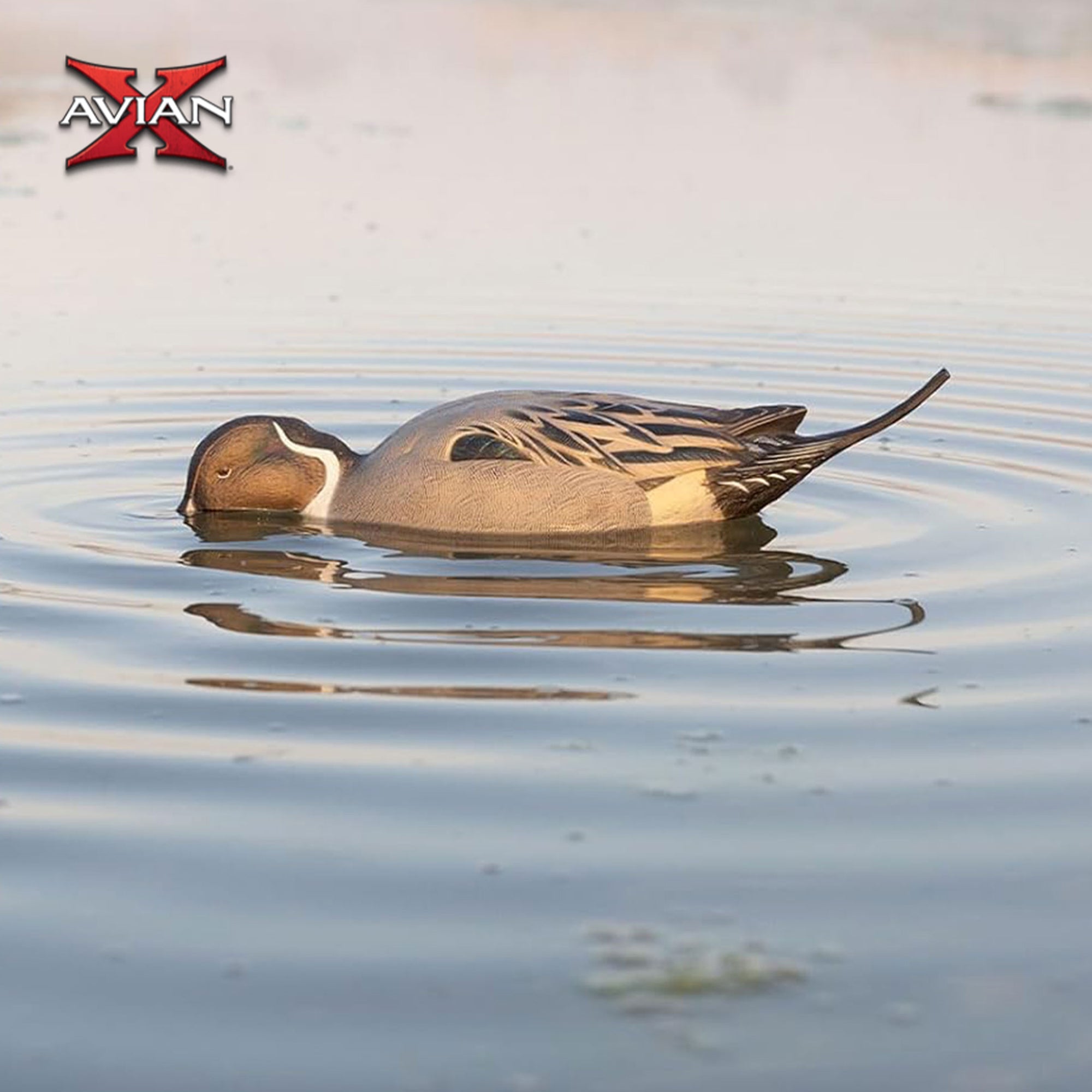 Avian-X Power Pintail Motion Duck Decoy Floating Surface Feeder (Open Box) - VMInnovations