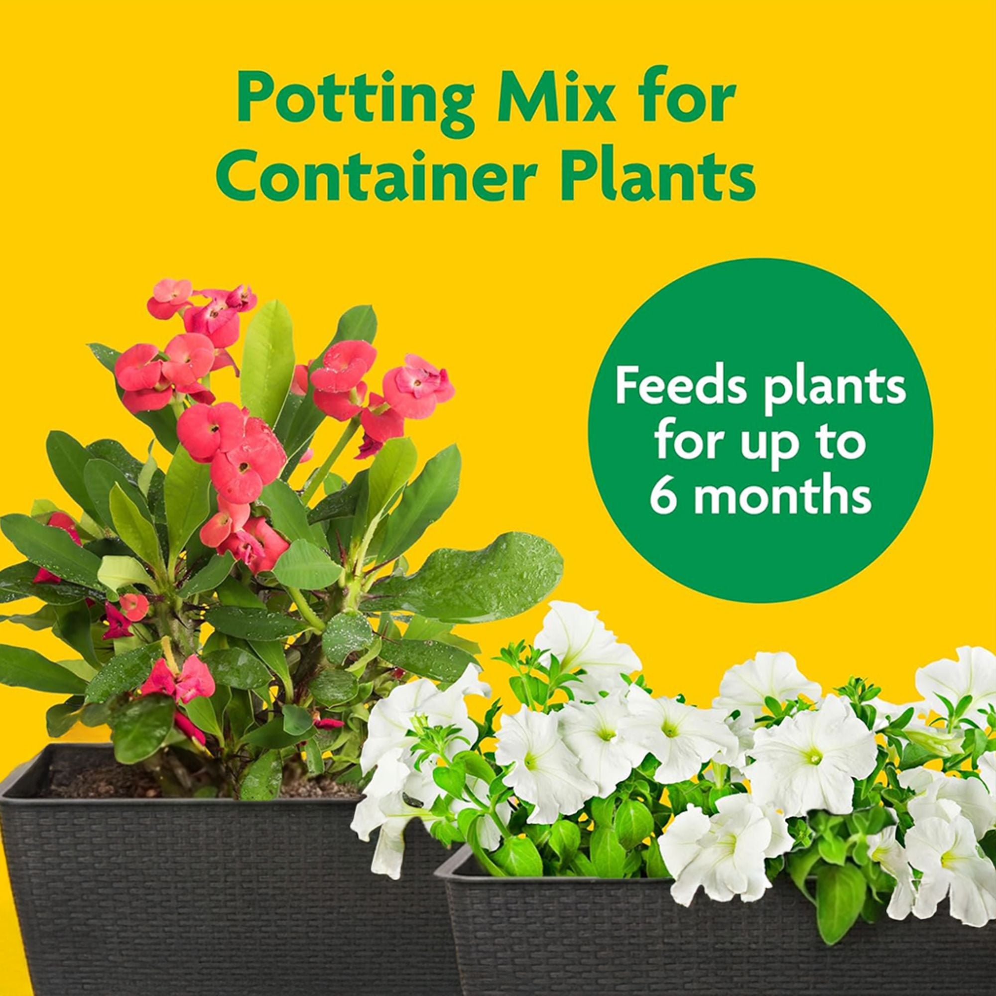 Miracle-Gro Potting Mix for Container Plants, Flowers and Vegetables, 2 cu. ft.