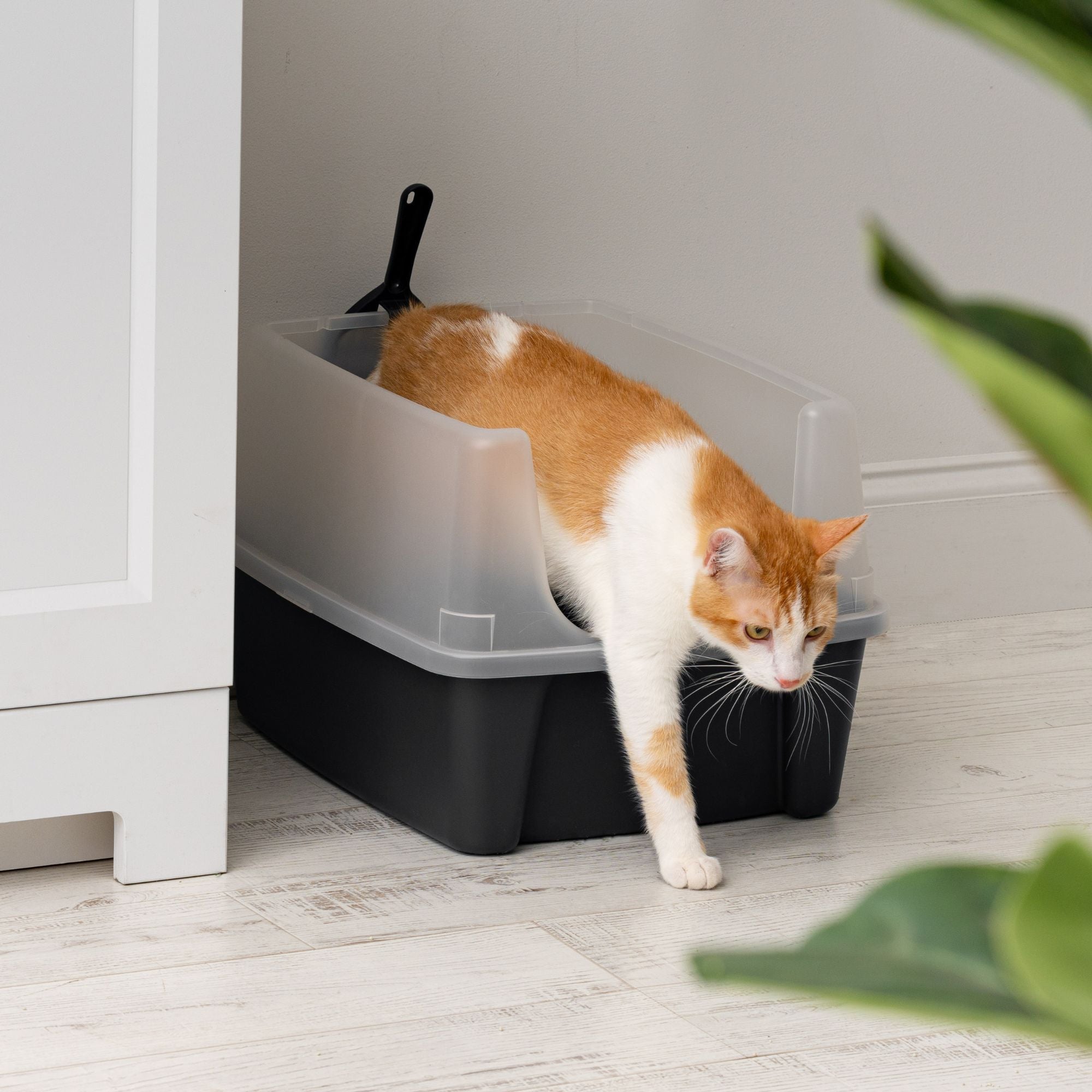 IRIS USA Large High Sided Cat Litter Box, Open Top, Scatter Shield, Scoop Black