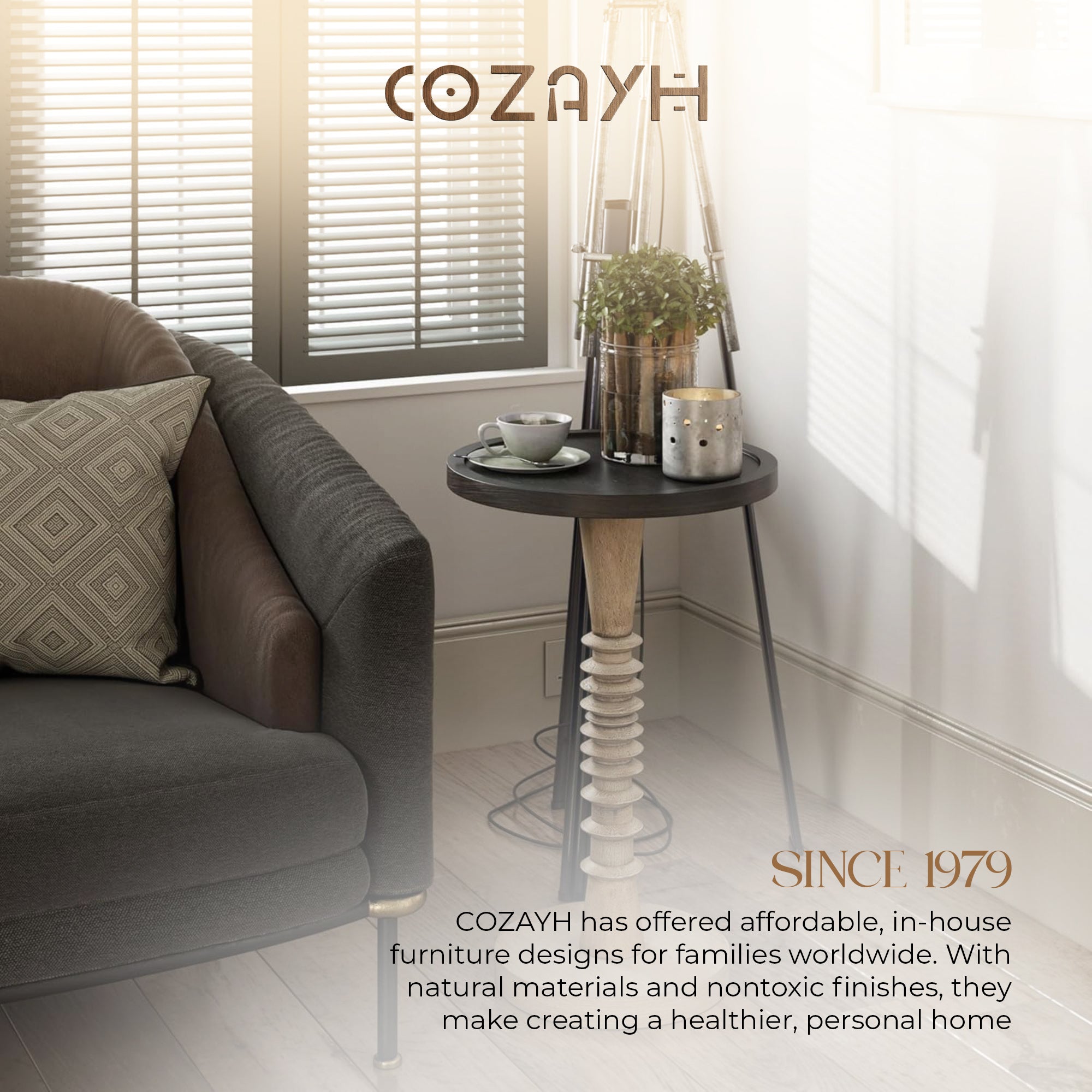 COZAYH Pedestal Tray Top End Table for Drinks, Lamps or Plants, Black, Set of 2