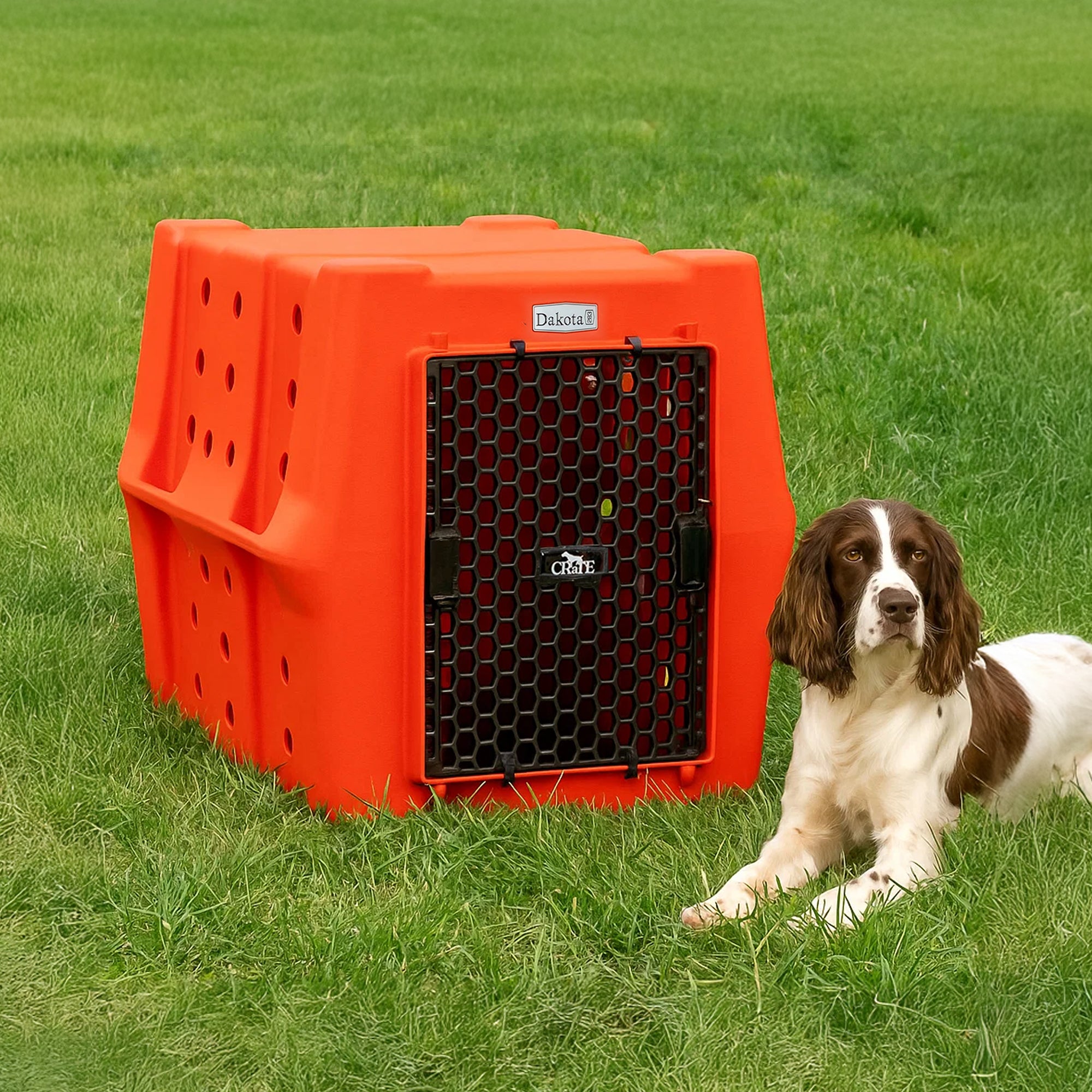 Dakota 283 Canine Rough and Tough Economy Pet Kennel, Intermediate (Open Box) - VMInnovations