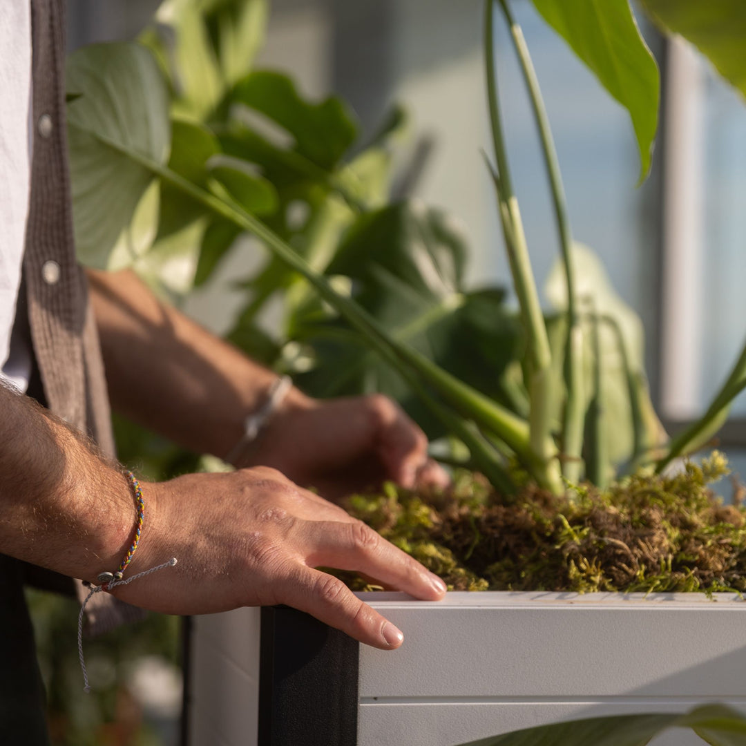 Tierra Verde 17-Inch x 17-Inch Flora Cube Planter Box for Patios or Decks, Khaki - VMInnovations