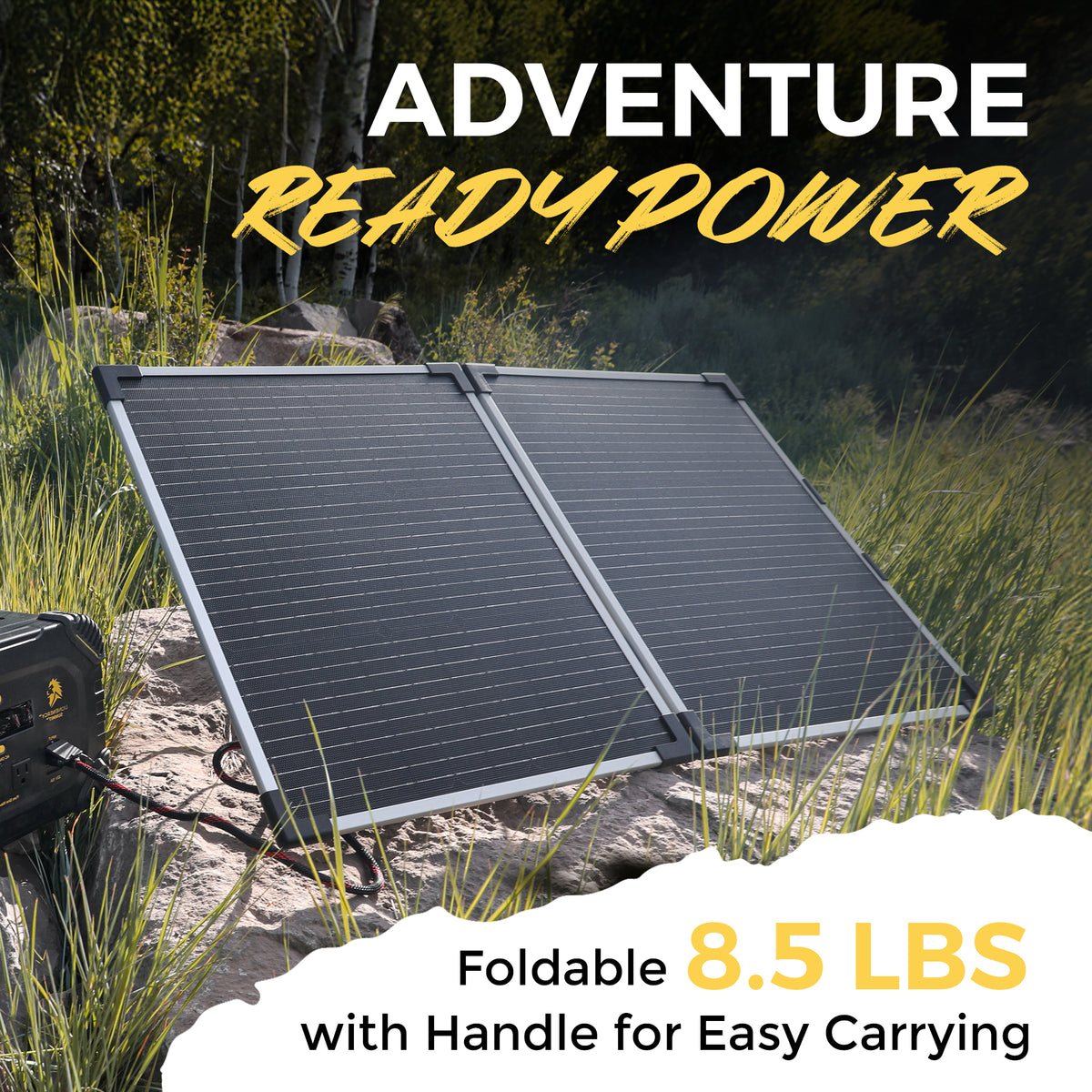 Lion Energy 100 Watt 24V Portable Solar Panel for RV, Outdoor Camping and Travel - VMInnovations