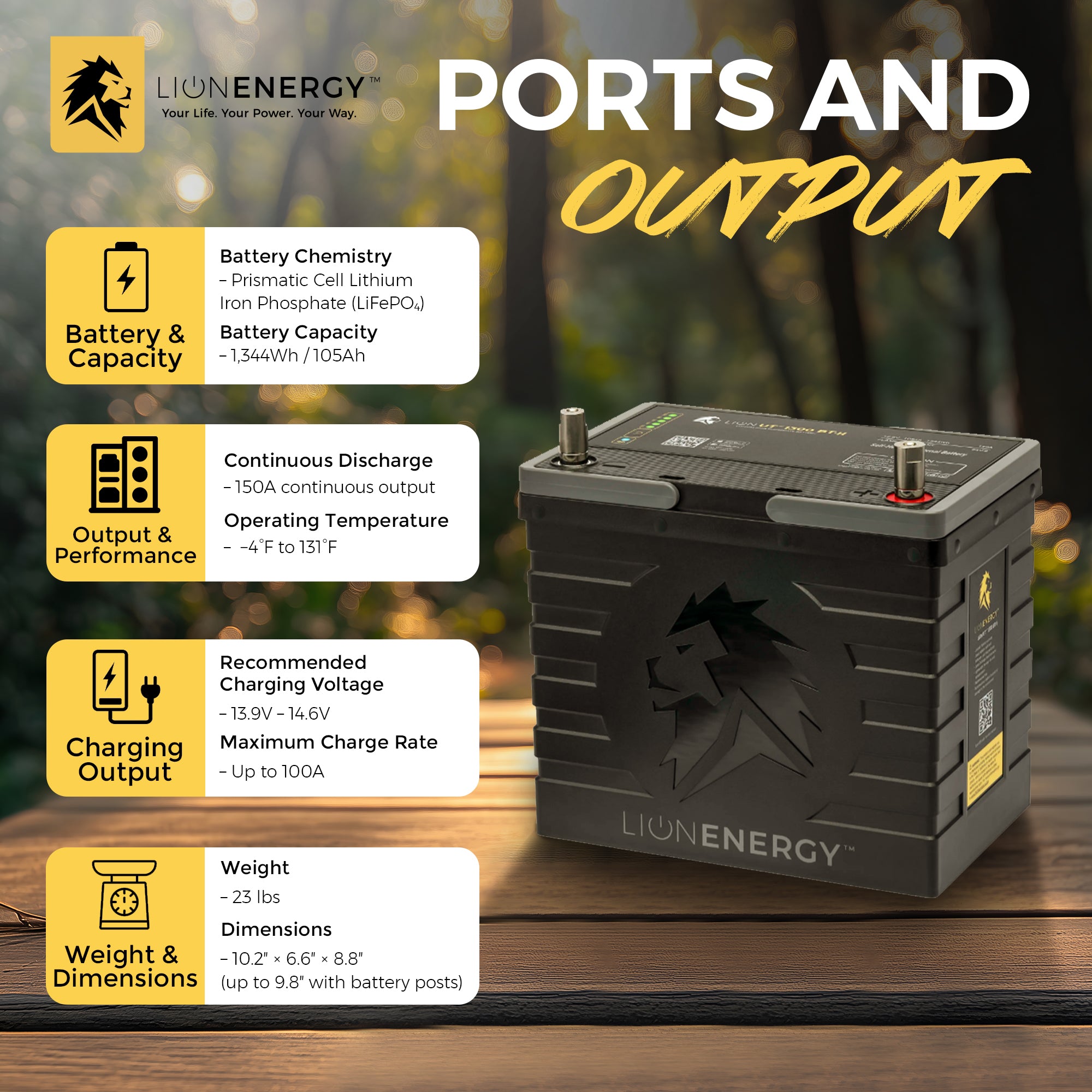 Lion Energy Lithium Rechargeable Deep Cycle Battery, Bluetooth, Black (Open Box) - VMInnovations
