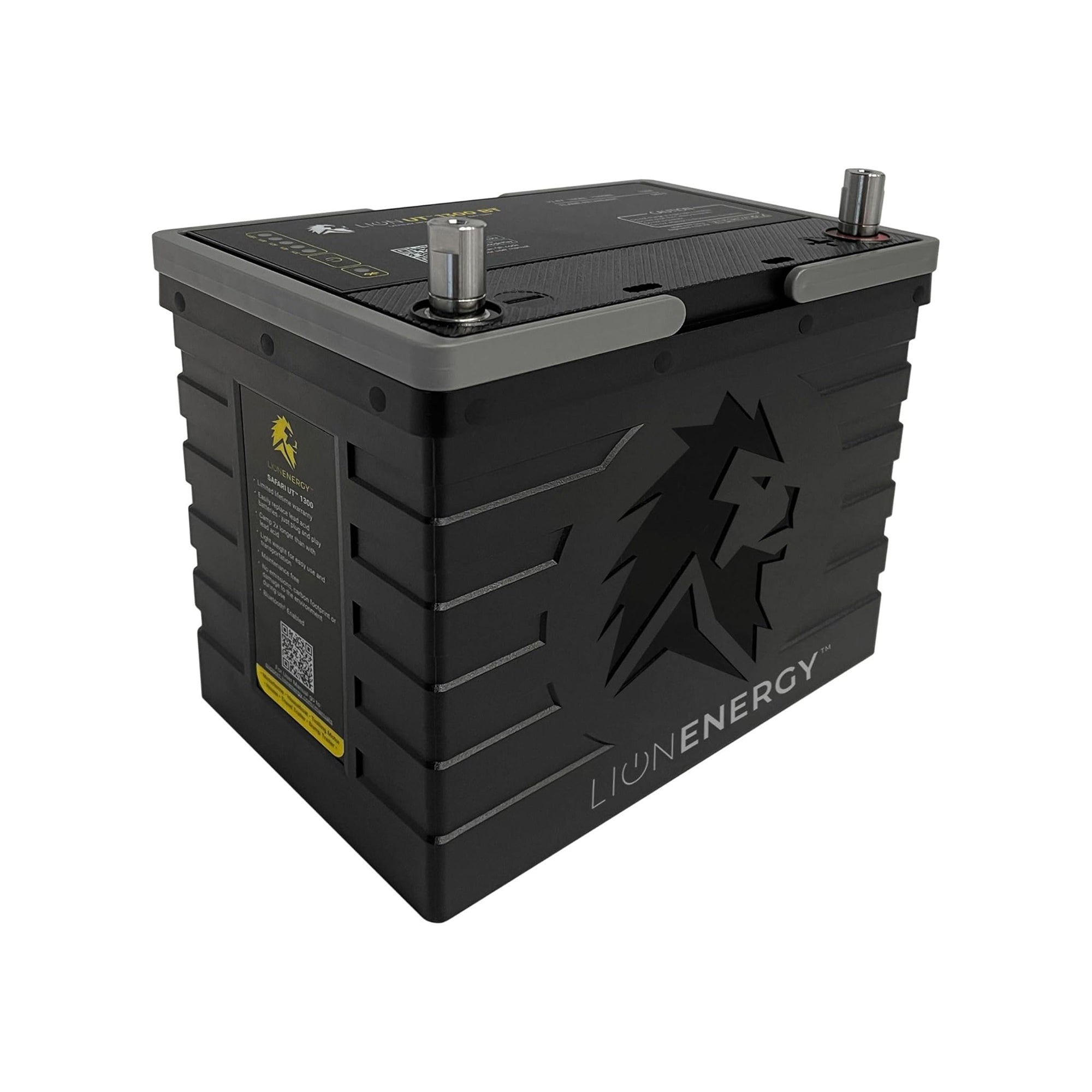 Lion Energy Lithium Rechargeable Deep Cycle Battery, Bluetooth, Black (Open Box) - VMInnovations