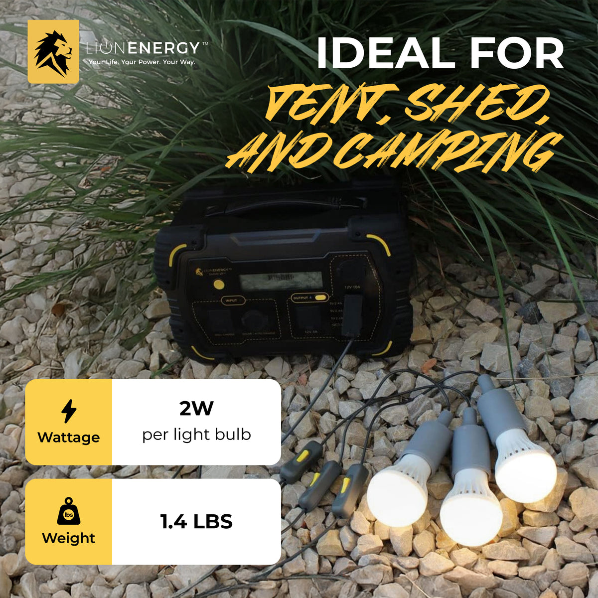 Lion Energy 3 Pack LED String Light Bulb with 15-Foot Cord and USB Connector