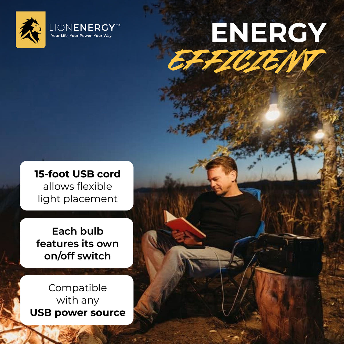 Lion Energy 3 Pack LED String Light Bulb with 15-Foot Cord and USB Connector
