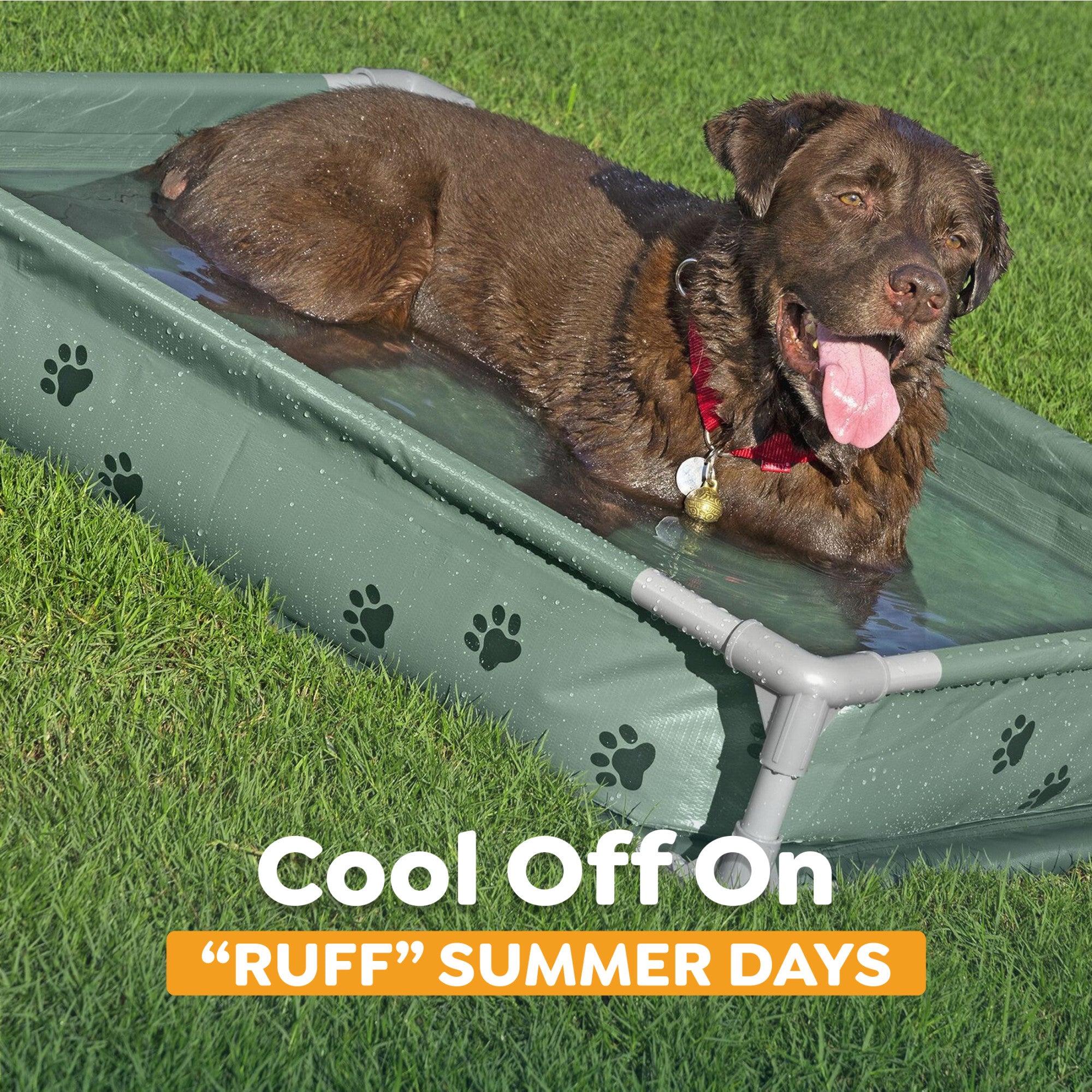 H2OGO! Pet Play Pool & Elevated Bed, Fetchin' Fun Splash Pool & Bed (Open Box)
