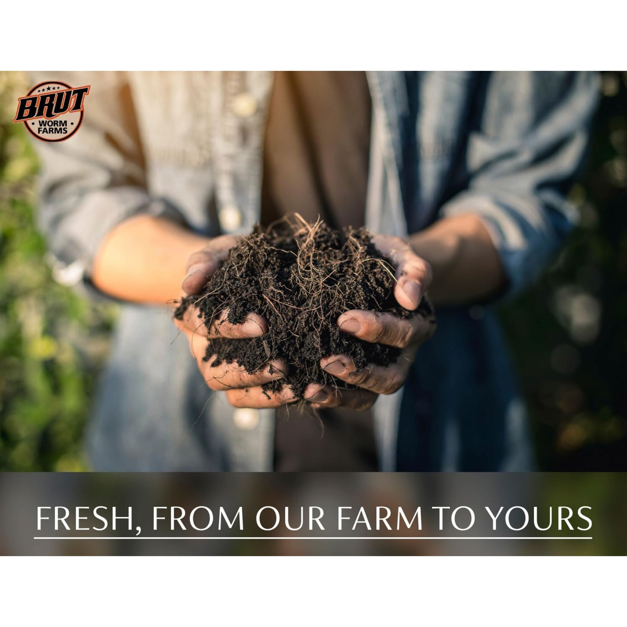 Brut Worm Farms Worm Castings Soil, Aspen Mulch, & Chicken Compost Garden Soil