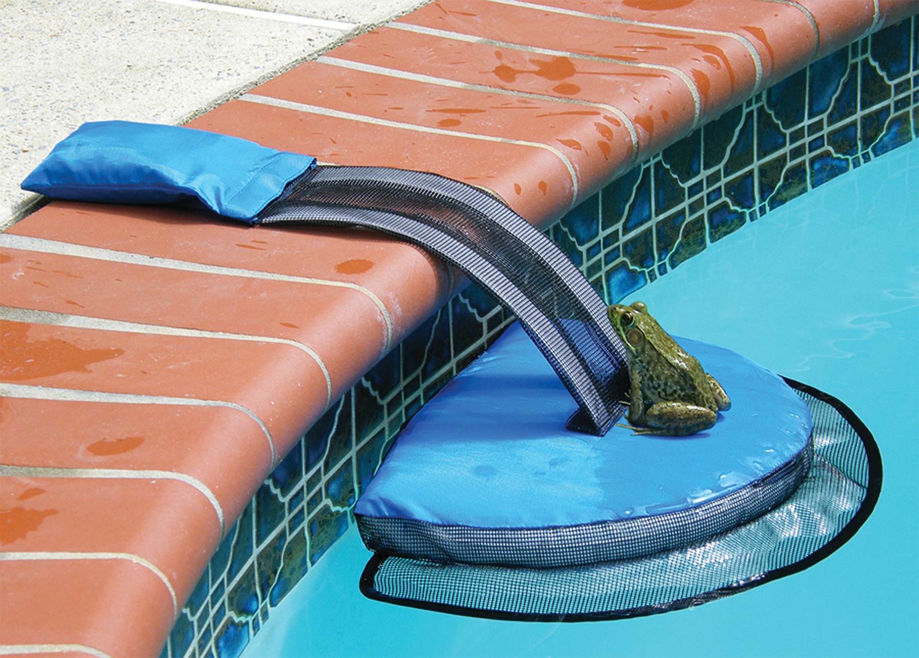 Swimline Swimming Pool Froglog Critter Saving Escape Ramp (Open Box) (4 Pack) - VMInnovations