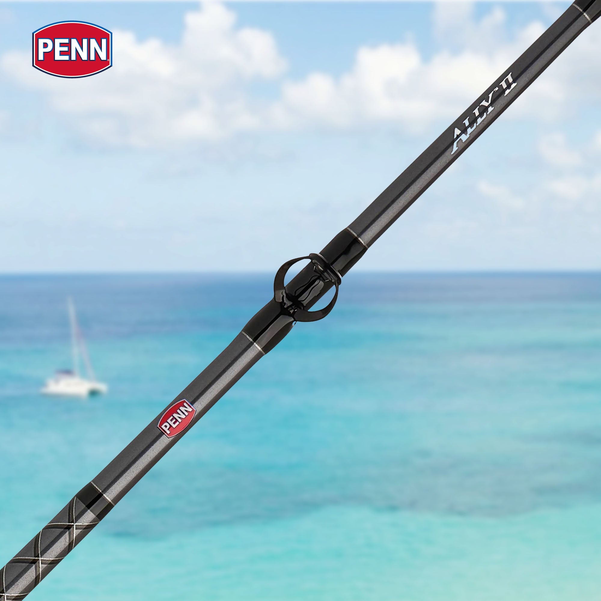 Penn Ally II Boat Conventional Casting Fishing Rod 6 Feet, up to 50 Lbs, Black - VMInnovations