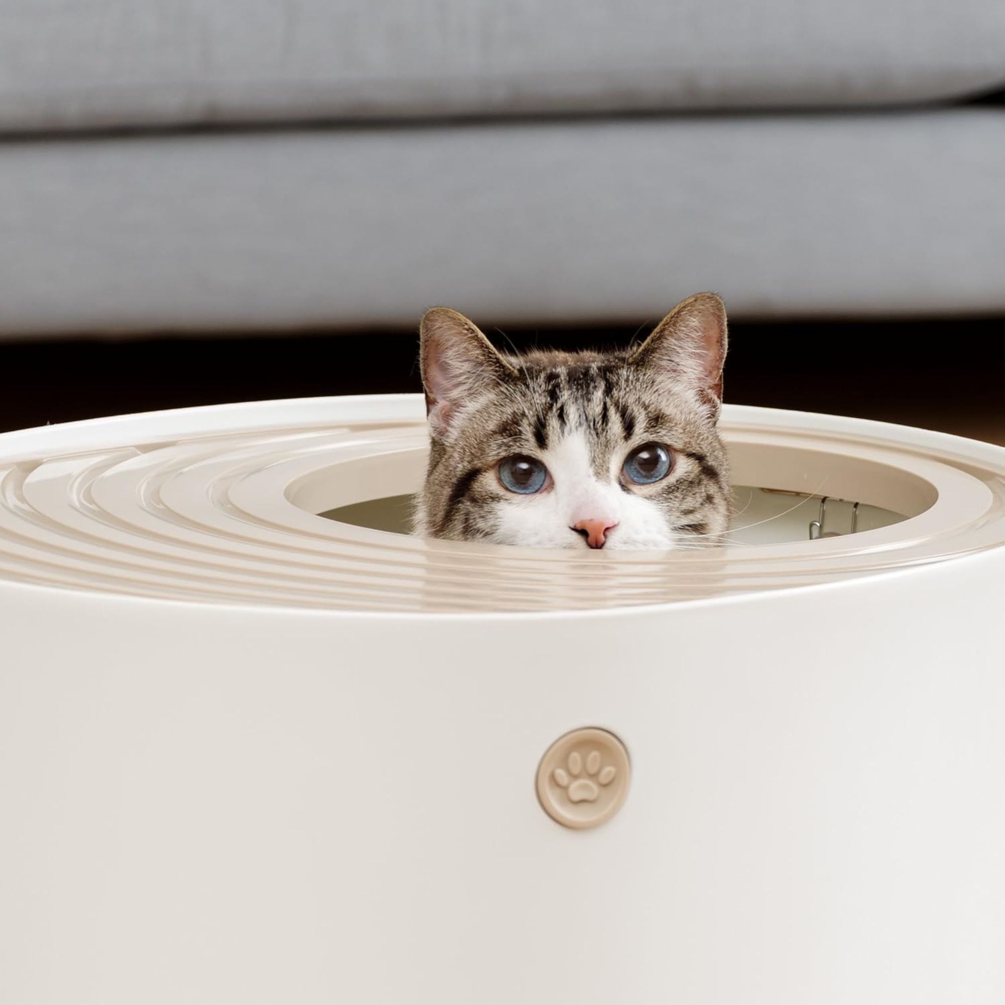 IRIS USA Cat Litter Box, Large Top Entry with Catching Lid & Scoop, (Used) - VMInnovations