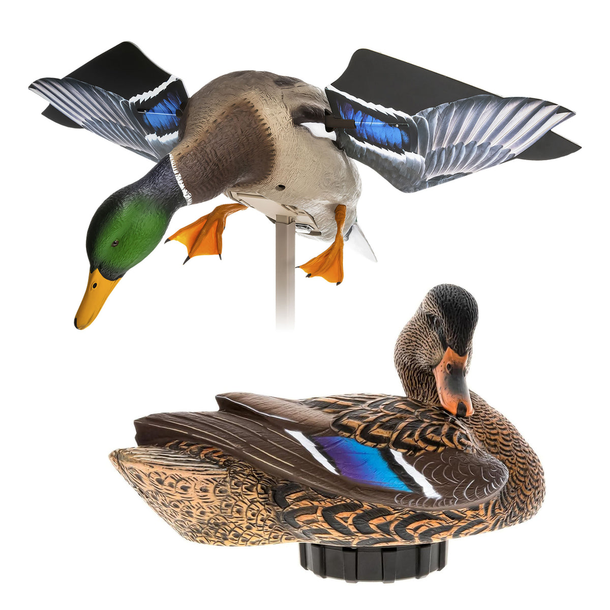 Avian X PowerFlight Mallard Spinning Decoy & Power Shaker Hen Preener Decoy