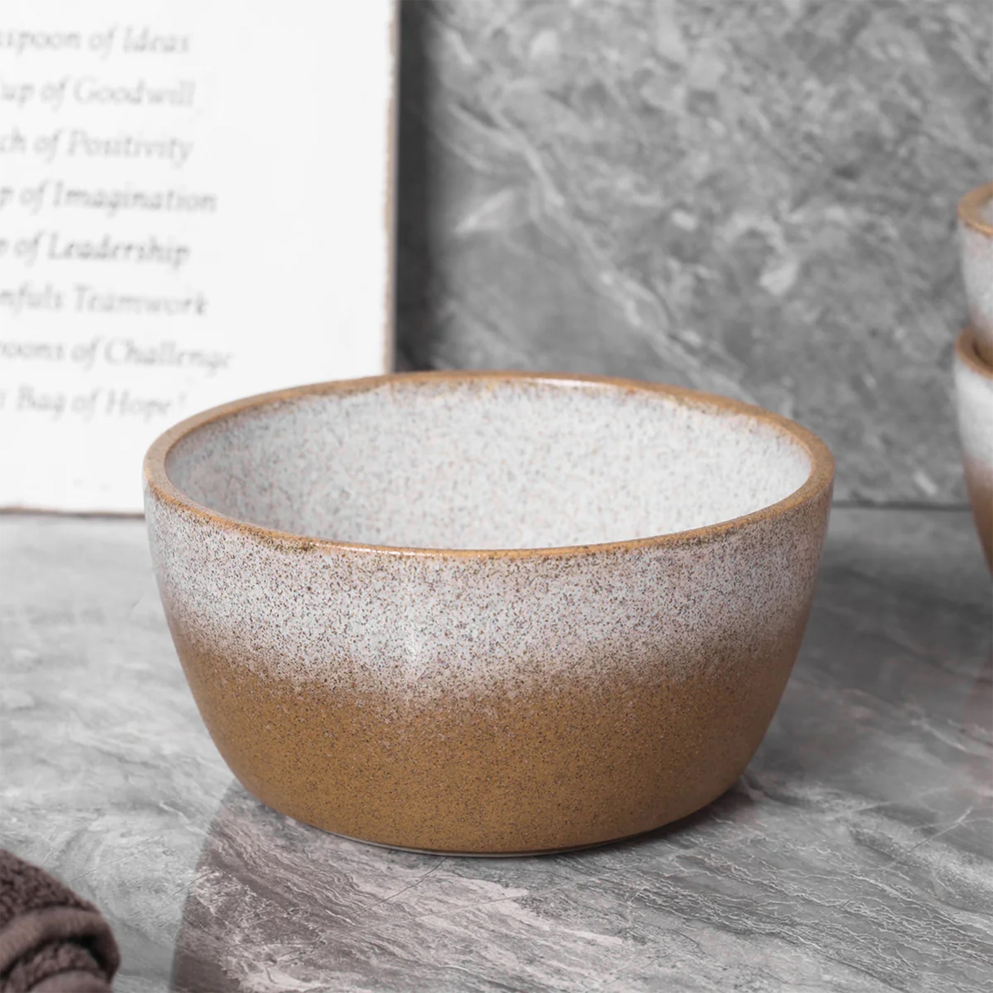 Stone Lain Vince 4 Piece Stoneware Bowl Set for Soups or Salads, Brown and White - VMInnovations