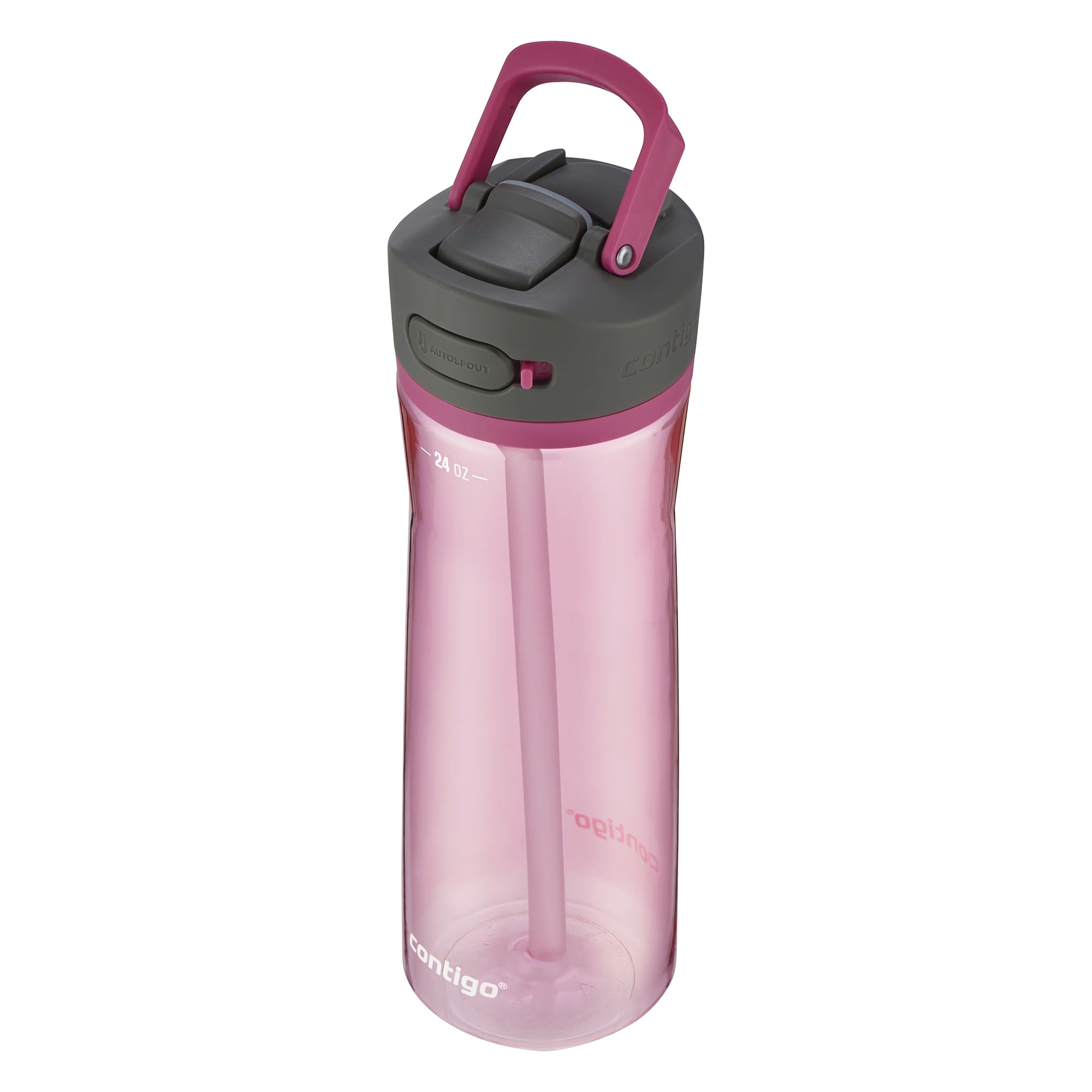 Contigo Ashland 2.0 Water Bottle with AUTOSPOUT Lid, 24 Ounces, Dragon Fruit - VMInnovations