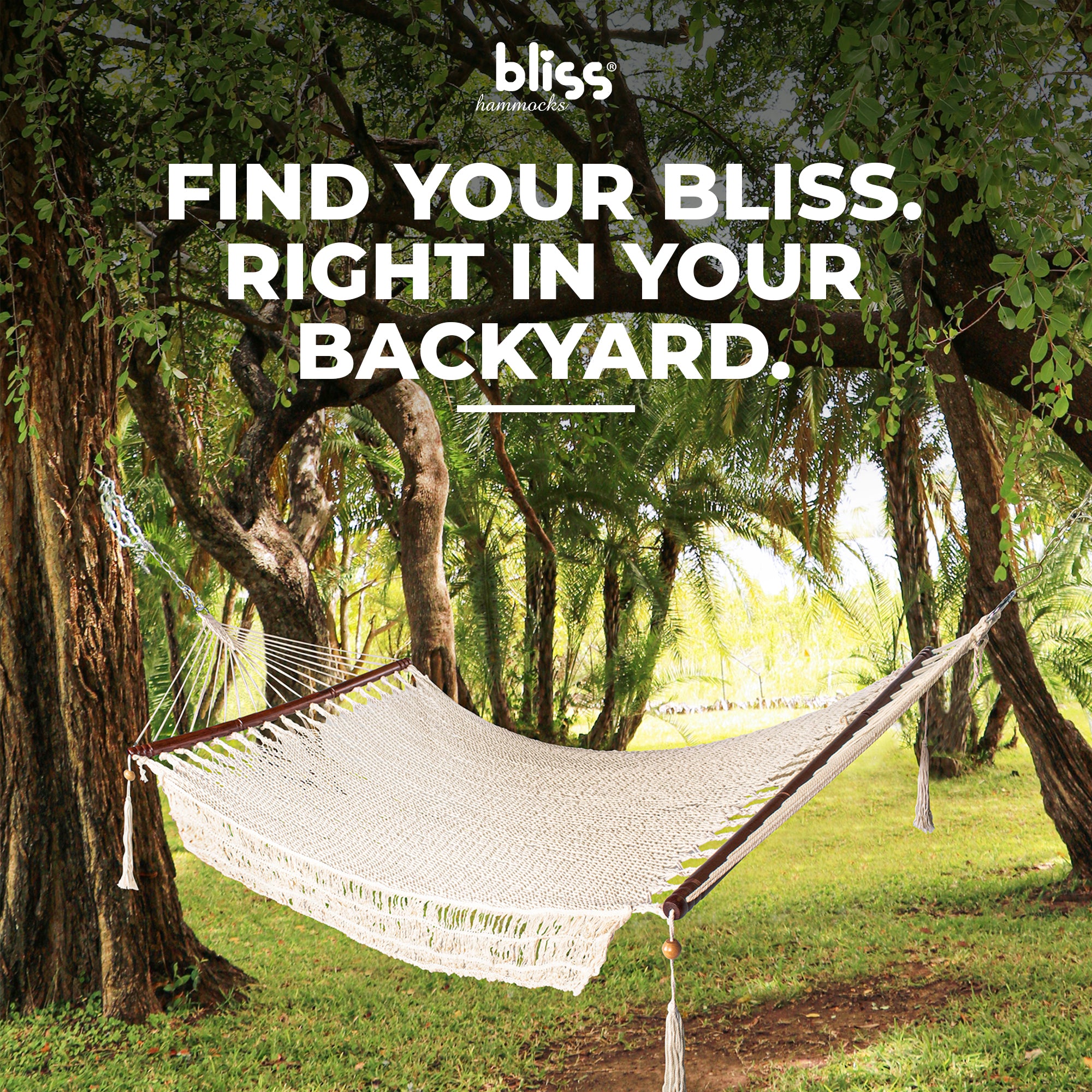 Bliss Hammocks 1-Person Cotton Rope Hammock w/Spreader Bar, 78x48 (Open Box)