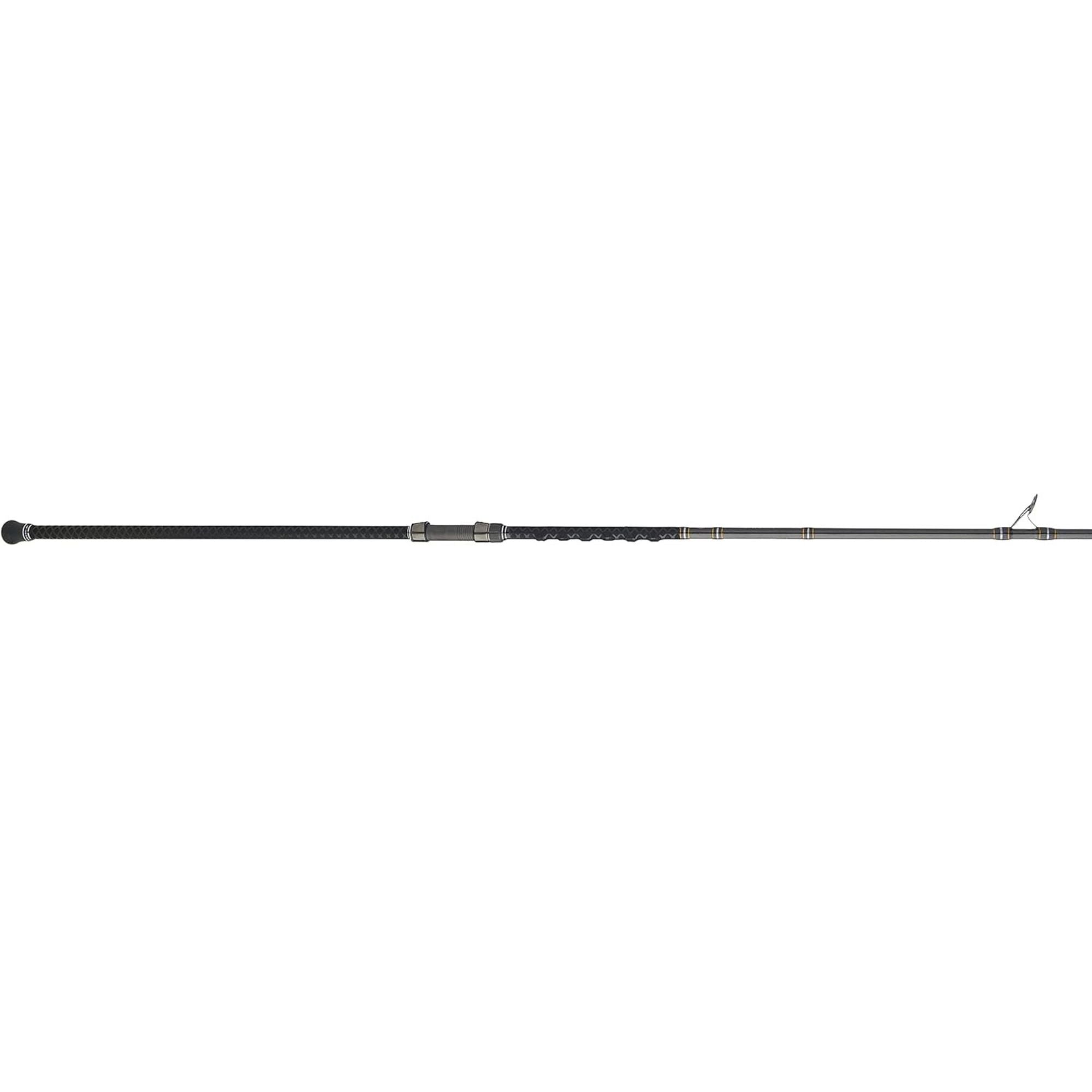 PENN Carnage III Conventional Surf Rod, 10' Fishing Pole, Medium Power - VMInnovations