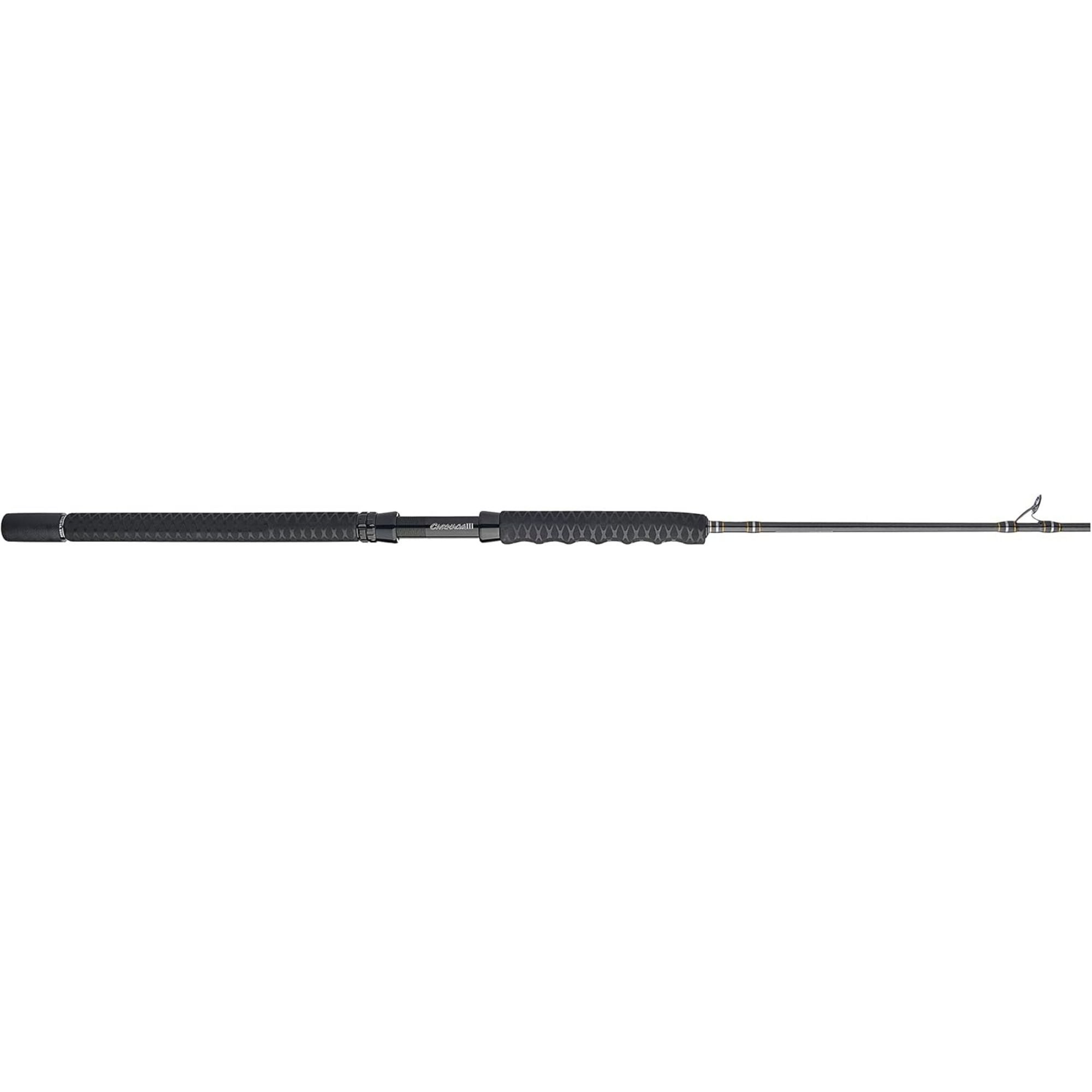PENN Prevail III Surf Conventional Rod, 10' Medium Heavy, Moderate Fast, 2-Piece
