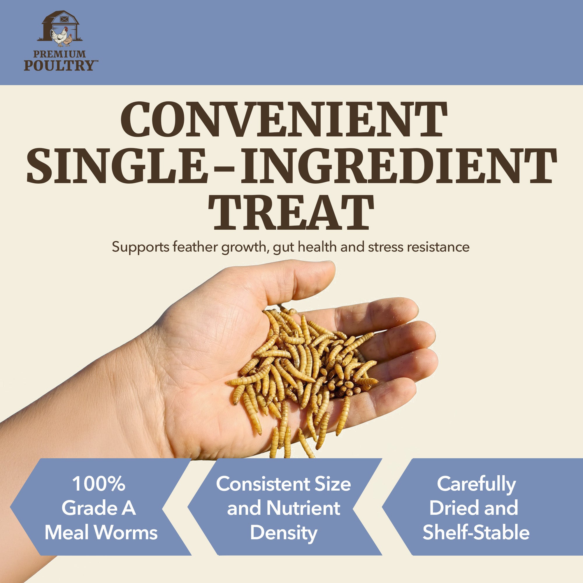 Premium Poultry 15 Pound Dried Mealworms Natural High Protein Chicken Feed Treat - VMInnovations
