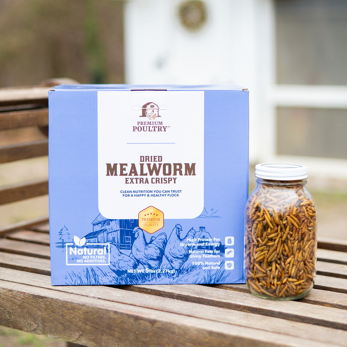 Premium Poultry 20 Pound Dried Mealworms Natural High Protein Chicken Feed Treat