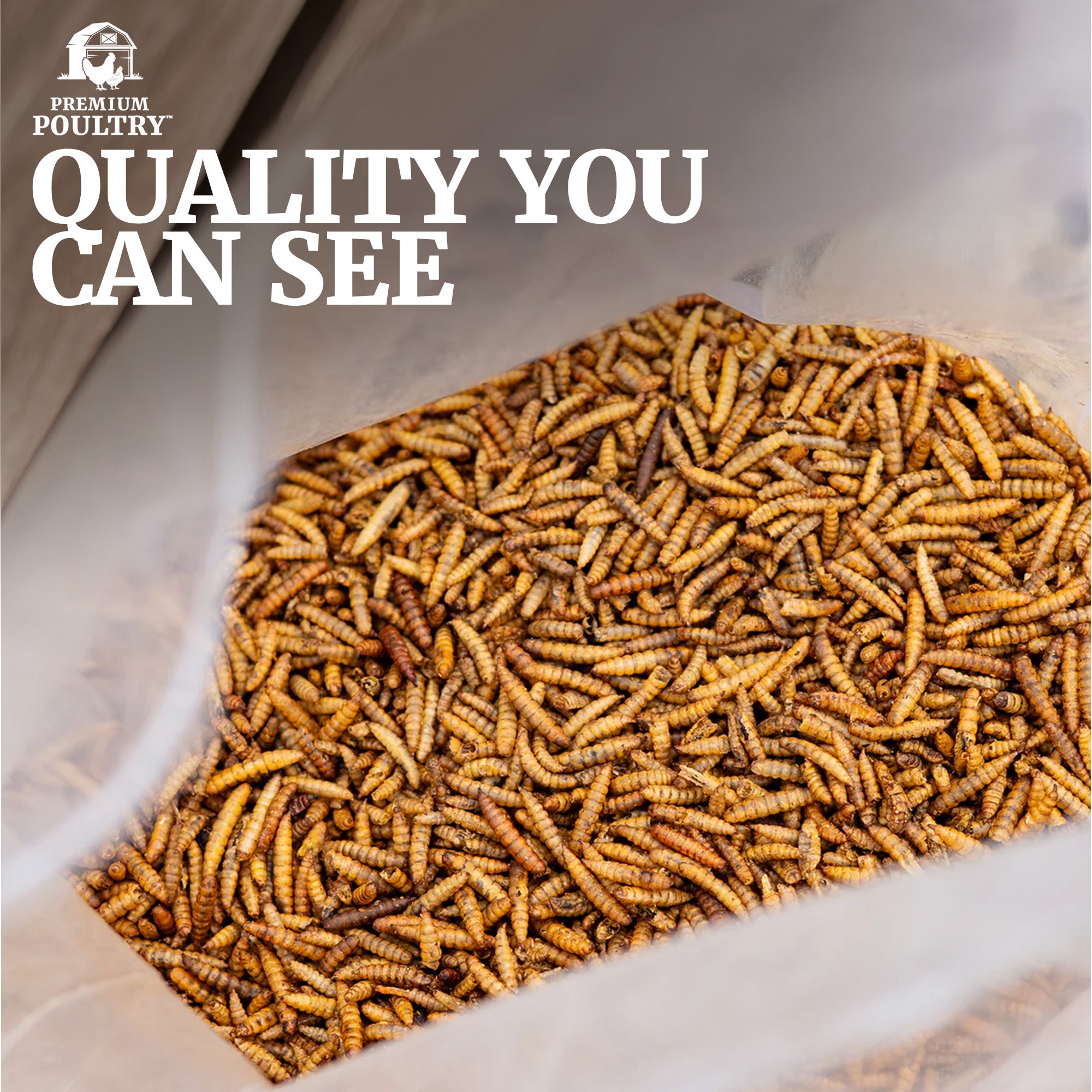 Premium Poultry 10 lb Dried Black Soldier Fly Larvae Chicken Feed Protein Treats
