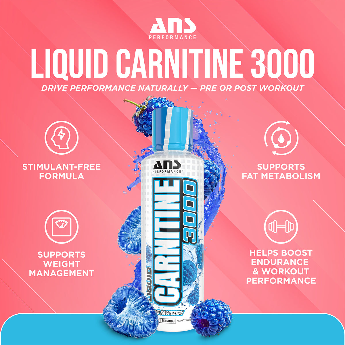 ANS Performance Carnitine 3000, Muscle Recovery Support, 16 Oz, Blue Raspberry