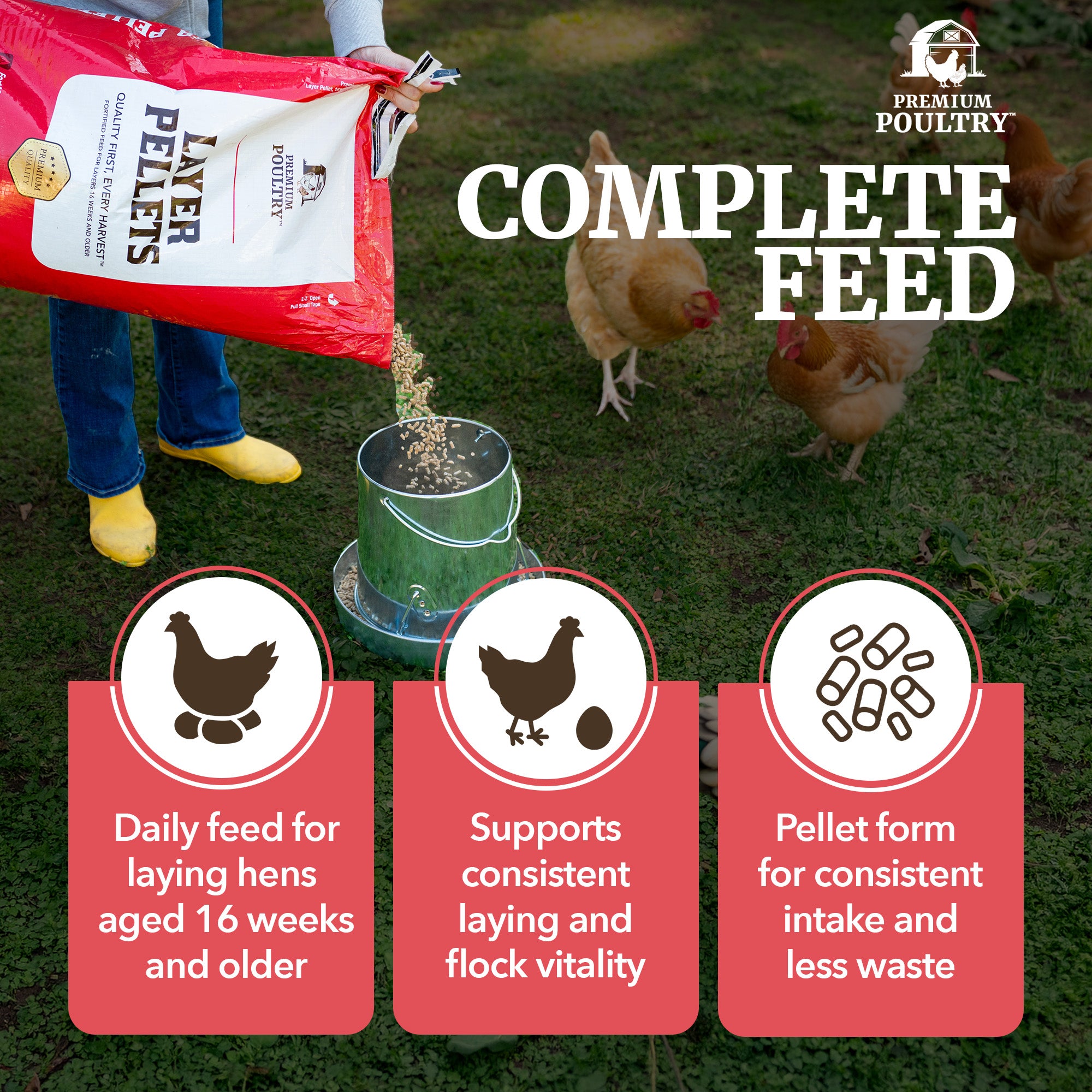 Premium Poultry Layer Pellets for Laying Hens, 16% Protein Blend Feed, 2000 lb